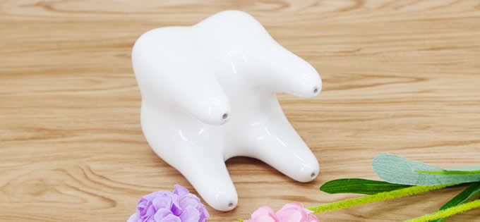 White Ceramic Tooth Shaped Toothbrush Holder Stand 